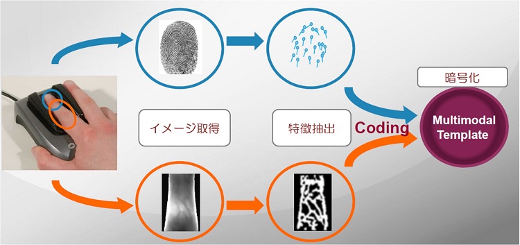 指静脈認証と指紋認証の2つの生体認証を組み合わせるメリット